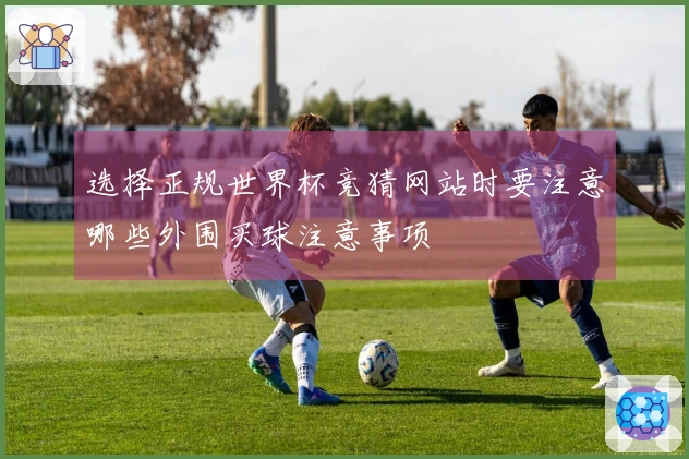 选择正规世界杯竞猜网站时要注意哪些外围买球注意事项