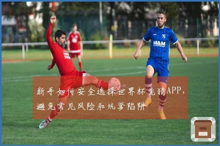 新手如何安全选择世界杯竞猜APP，避免常见风险和坑爹陷阱